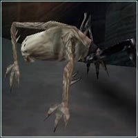 http://www.legacy-of-kain.ru/img/sr1/e3.jpg